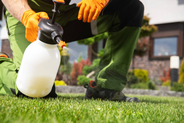 Best Insect Control  in Denair, CA