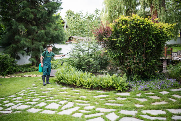 Best Mosquito Control Services  in Denair, CA