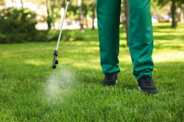 Best Emergency Pest Control  in Denair, CA
