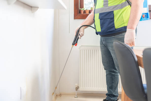 Best Local Pest Control Services  in Denair, CA