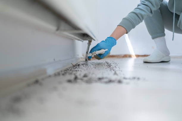 Denair, CA Pest Control Company